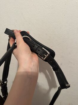 Passier Lederhalfter Passier