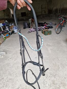 Trense, blauer Stirnriemen, X-Full, Kathrin , Bridles & Headstalls, Geschendorf