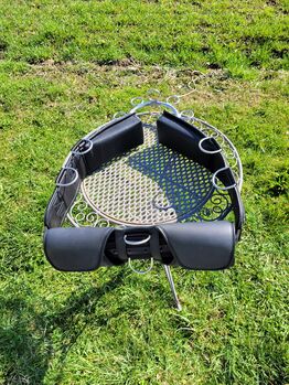 Smart Jock Longiergurt, Marion , Longieren, Bockhorn/Bayern 