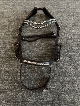 Trense anatomisch Isländer braun, Nadine , Bridles & Headstalls, Dinslaken