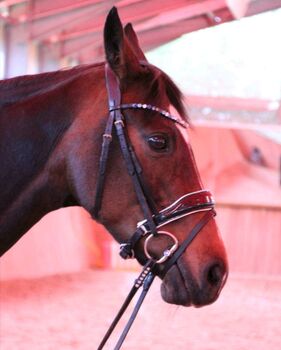 Trense anatomisch lack schwarz von equiamond, Equiamond Schwedisch kombiniert, Alinas_ponywelt, Bridles & Headstalls, Arzfeld