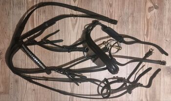 Trense Claridge House WB englisch, Michelle, Bridles & Headstalls, Orscholz