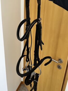 Trense mit Gebiss und zügel