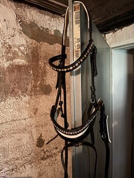Trense mit Lack, Kuhn Celine , Bridles & Headstalls, Primstal 