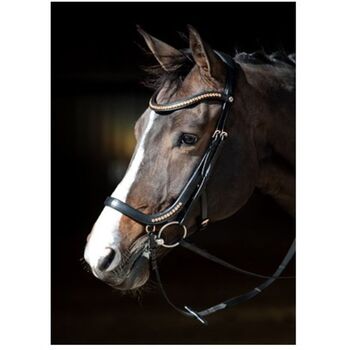 Trense neuwertig, Harry's Horse Trense Rosegold Anatomic, Jennifer , Bridles & Headstalls, Seelow 