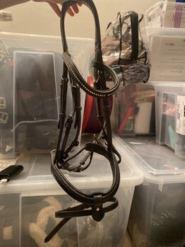 Trense Schwarz, Decathlon , S.BE, Bridles & Headstalls, Köln