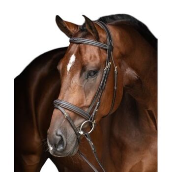 Trensenzaum Classic Englisch kombiniert Covalliero COB schwarz - SONDERANGEBOT, Covalliero Classic Englisch kombinierte Trense, WOW Pferd  (WOW Pferd), Bridles & Headstalls, Bayern - Attenkirchen