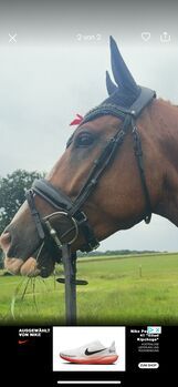 Trense schwedisch kombiniert, Judith Schulz, For Horses, Groß Nemerow 