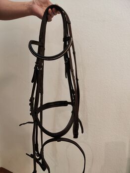 Trense braun Steeds, Steeds, Cordula , Bridles & Headstalls, Tirschenreuth