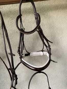 Trense braun weiß unterlegt mit lack, Lucy , Bridles & Headstalls, Aub