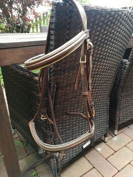 Trense Braun mit Gold, Jasmin , Bridles & Headstalls, Bergen