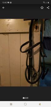 Trense COB, Saskia , Bridles & Headstalls, solingen 