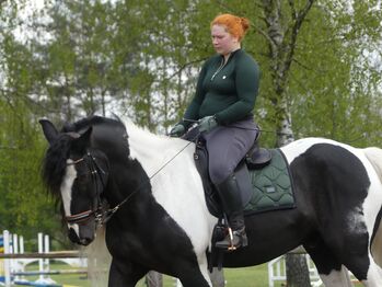 Kaltblut Trense in Lack, braun unterlegt, Tysons Breeches  Crystal , Delara , Ogłowia, Langenhagen 