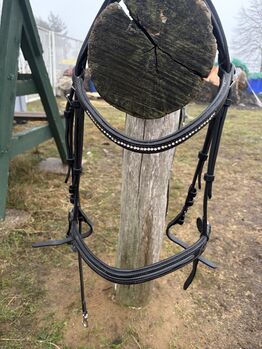 Trense Ziernähte Leder schwarz Cob, bonny, Bridles & Headstalls, Greifswald