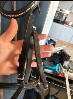 Trense, Englisch Trense, Full Trense 