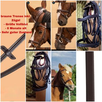 Trense zu verkaufen, Fougaza, Sabrina Kempter , Bridles & Headstalls, Wangen im Allgäu