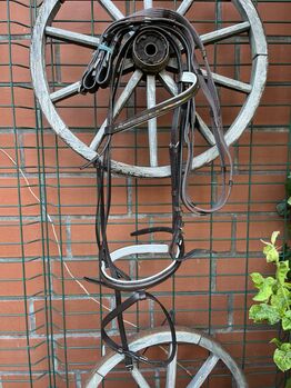 Trense Full, Robust, Janine Haack, Bridles & Headstalls, Elze