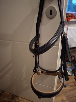 Trense in größe full, Michelle wilms , Bridles & Headstalls, Eppstein 