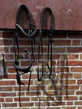 Trense Kavalkade WB, Kavalkade, JH , Bridles & Headstalls, Utarp 
