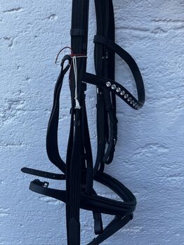 Trense mit zwei Stirnriemen