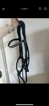 Trense Mexikanisch, Claridge House, Julie , Bridles & Headstalls, Bad Karlshafen