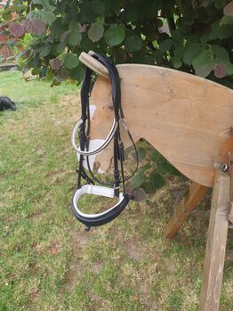 Trense weich unterlegt WB, Eva, Bridles & Headstalls, Brüggen