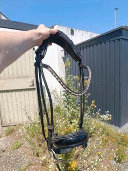 Trense rundgenäht Lack schwarz WB Nika Horseproducts