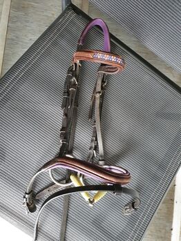 Trense Shetty, Brigitte, Bridles & Headstalls, Cham