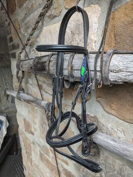 Trense Solibel, Solobel, Nina Schmied, Bridles & Headstalls, Bochum