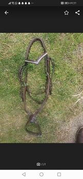 Trense (Größe Cob), Josephine Buchholz, Bridles & Headstalls, Rossau