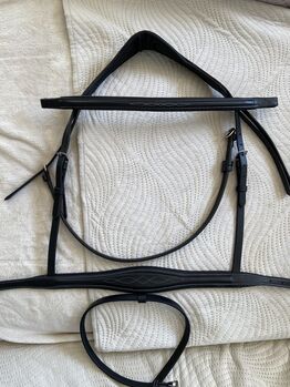 Trense Warmblut, Isabel, Bridles & Headstalls, Seukendorf