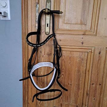 Trense Warmblut Busse, Busse  Solibel, Julia P., Bridles & Headstalls, Köln