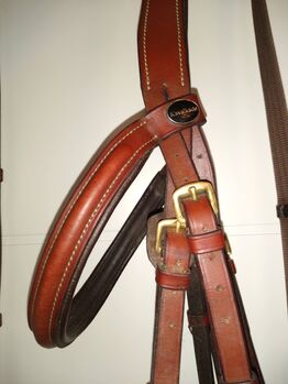 Trense WB in Havanna Braun inkl. 2 Paar Zügel in passender Farbe, Kavalkade, Julie, Bridles & Headstalls, Potsdam