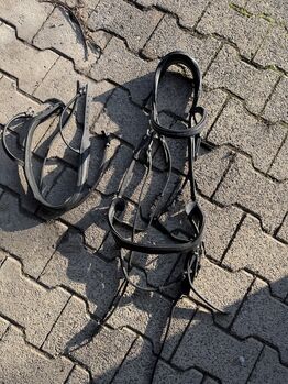 Trense WB, ähnlich Micklem, Claridge House, Julie , Saddle Accessories, Bad Karlshafen