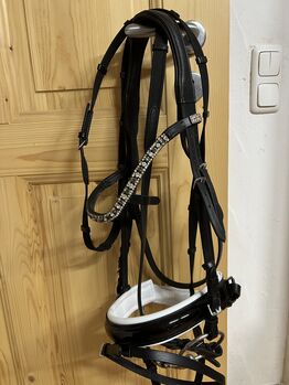 Trense mit Lack, Trense mit Lack , Laura , Bridles & Headstalls, Vogtareuth 