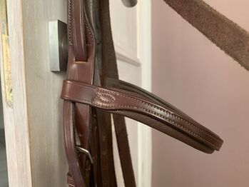 Trense mit Zügeln und Gebiss