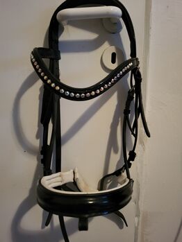 Trense VB, Sandra , Bridles & Headstalls, Euskirchen