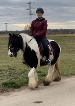 Suche Reitbeteiligung mit Möglichkeit auf Unterricht (Mensch sucht Pferd), Antonia, Horse Sharing, Groß-Gerau