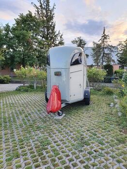 VERKAUFT - Böckmann Champion R, Bj. 10/2020, Vollalu, TOP Ausstattung - TOP gepflegt, Böckmann Champion R, Elisabeth, Horse Trailers, Sollenau