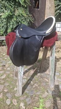 Sommer Diplomat Exclusiv 17,5 VS, Sommer  Diplomat Exclusiv , Peggy Schmidt , All Purpose Saddle, Niebendorf-Heinsdorf