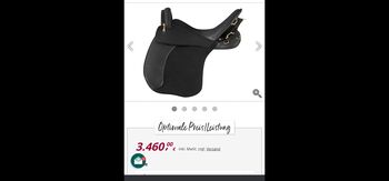 Sommer Evolution Sattel, Sommer Evolution , Manuela Kirici, All Purpose Saddle, Creußen