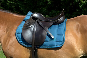 Sommer Othello Springsattel , reiten , Pferde , Reitsport, Sommer Othello, Jule, Springsattel, Aschersleben