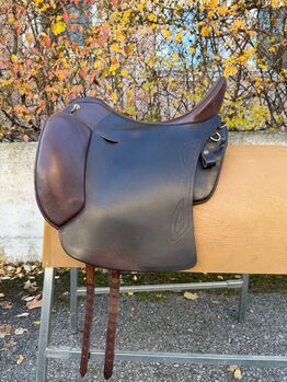 Sommer Salvadore Dressur und Gelände Sommer  Salvadore