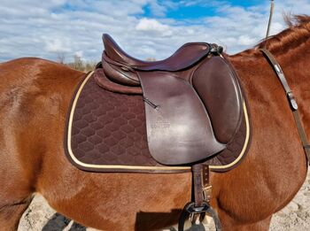 Sommer Somero Elegance DS 17.5 Zoll Dressursattel, Sommer  Sommer Elegance , Sabrina , Dressage Saddle, Kempen