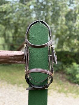 Spanische Trense braun in Warmblut mit goldenen Beschlägen, Lara , Bridles & Headstalls, Zolling