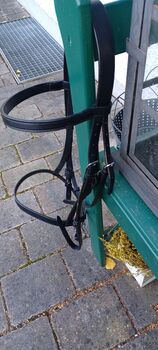 Spanische Trense schwarz Cob