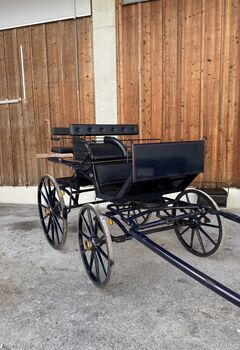 Spider Kutsche, Kühnle  Spider, Regina , Carriages, Wals