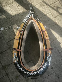 Spitzkumt, Komplettset zum Holzrücken, Gina, Kutschgeschirr, Rümlang