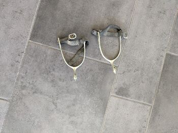 Sporen mit Schwanenhals und gezackten Rädchen