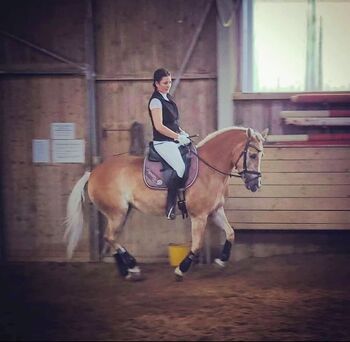 Sport. 13 jährige Reinzucht Haflinger Stute für Dressur und Springen, VeraS, Pferd kaufen, Allmannshofen